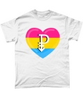 Pansexual LGBTQIA t-shirt