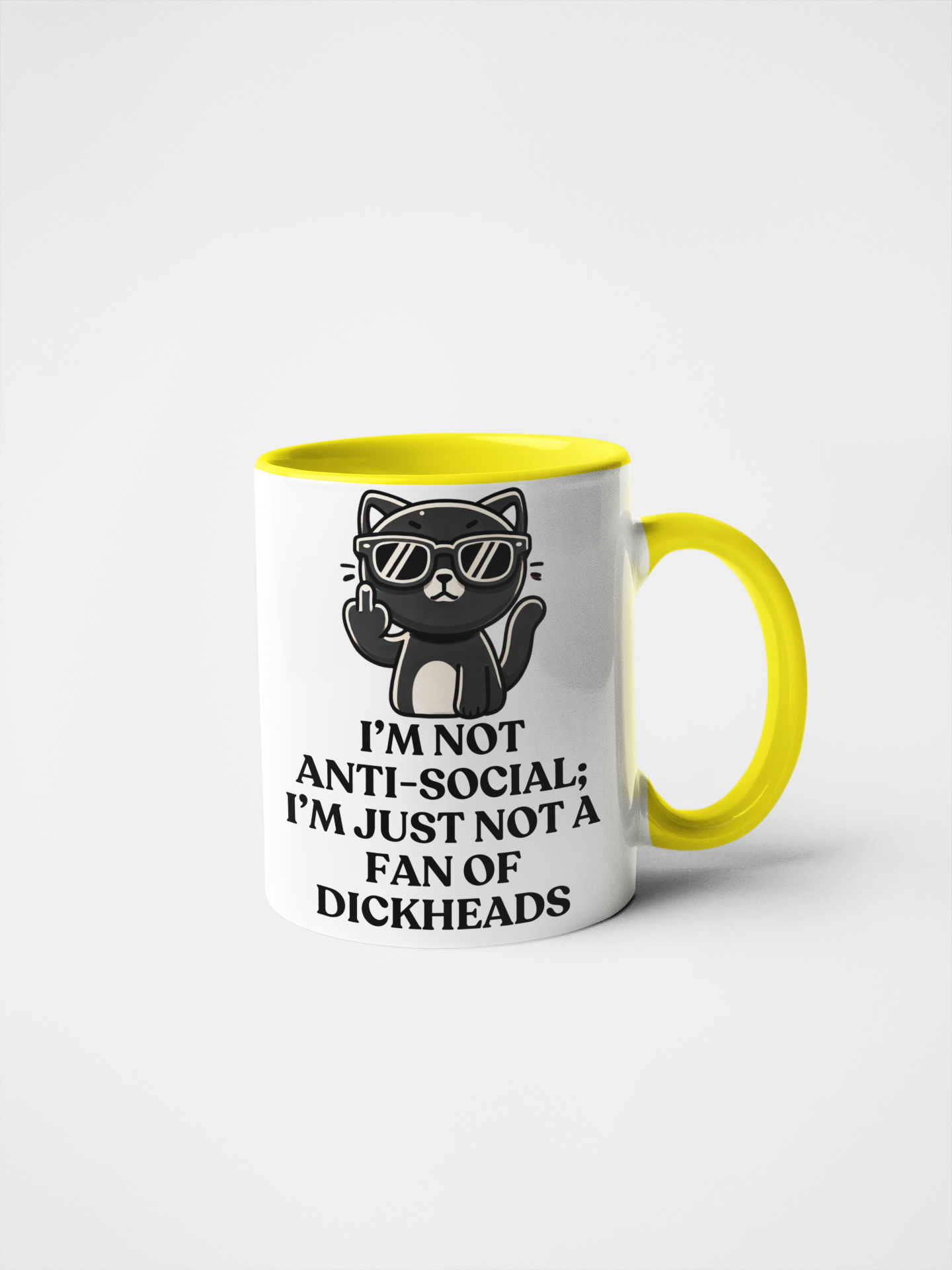 I'm Not Anti-Social; I'm Just Not a Fan of Dickheads Sarcastic Cat Lover Mug